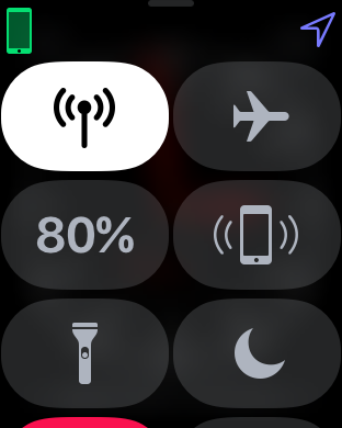 i icon on the apple watch